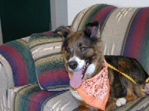 April at home at the Cohn Center.